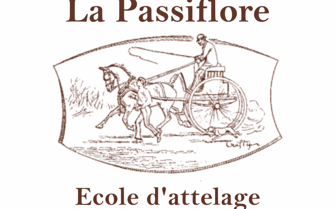 La Passiflore école d’attelage