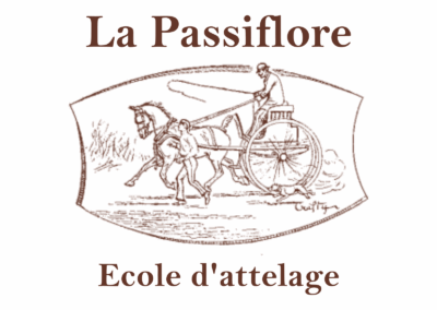 La Passiflore école d’attelage
